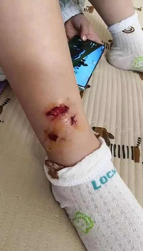 从被弃售的惊恐到赛场救赎：MSI新星中单的涅槃重生之路